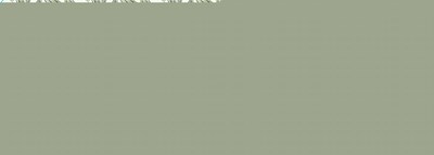Image Description (Tea Tree And Lavender Hand Wash 480 mL)